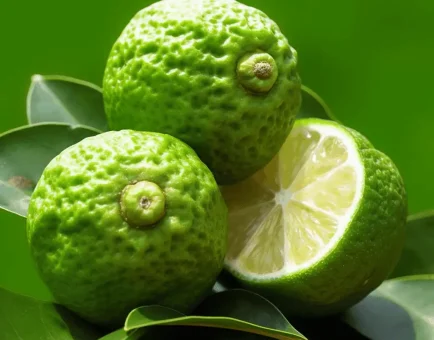 Bergamottin (Bergamot Citrus Extract) – Citrus bioflavonoid in Interstellar Blends, supporting cholesterol balance and liver detoxification.