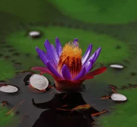 Euryale ferox (Fox Nut, Makhana) – Nutrient-dense aquatic seed in Interstellar Blends, supporting kidney health, anti-aging benefits, and antioxidant protection.